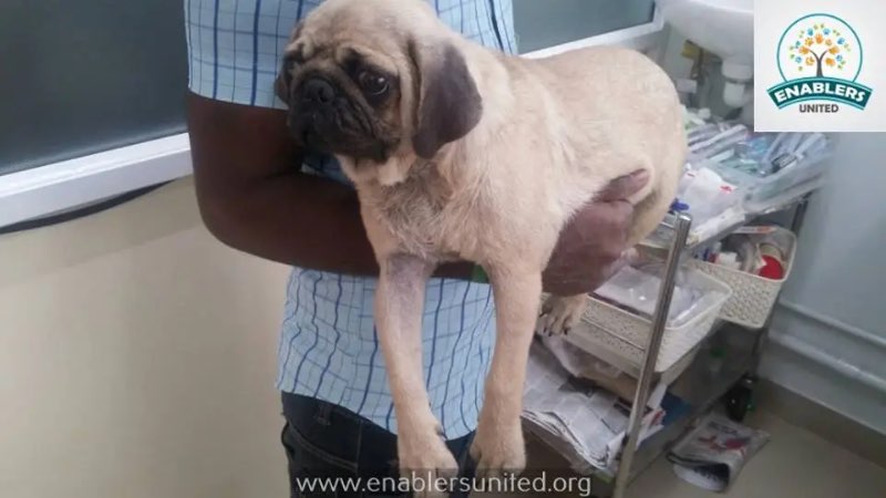 Rescue photo
